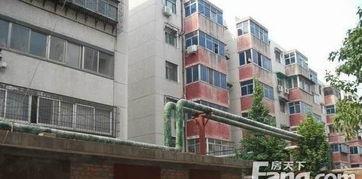 郑州花园路最新爆料信息,繁华街区焕新记